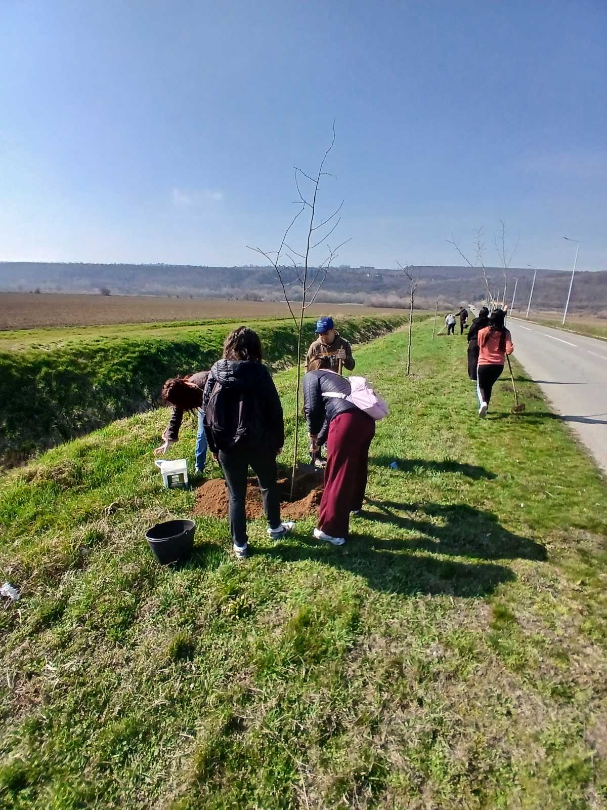 Slika vesti